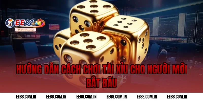 Hướng dẫn cách chơi tài xỉu cho người mới bắt đầu